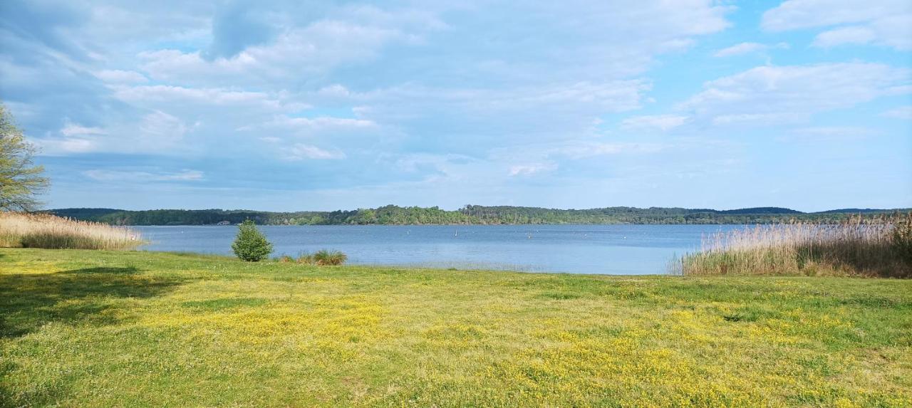 Les Terrasses Du Lac Piscine Et Vue Lac A4 Aureilhan  Exterior foto